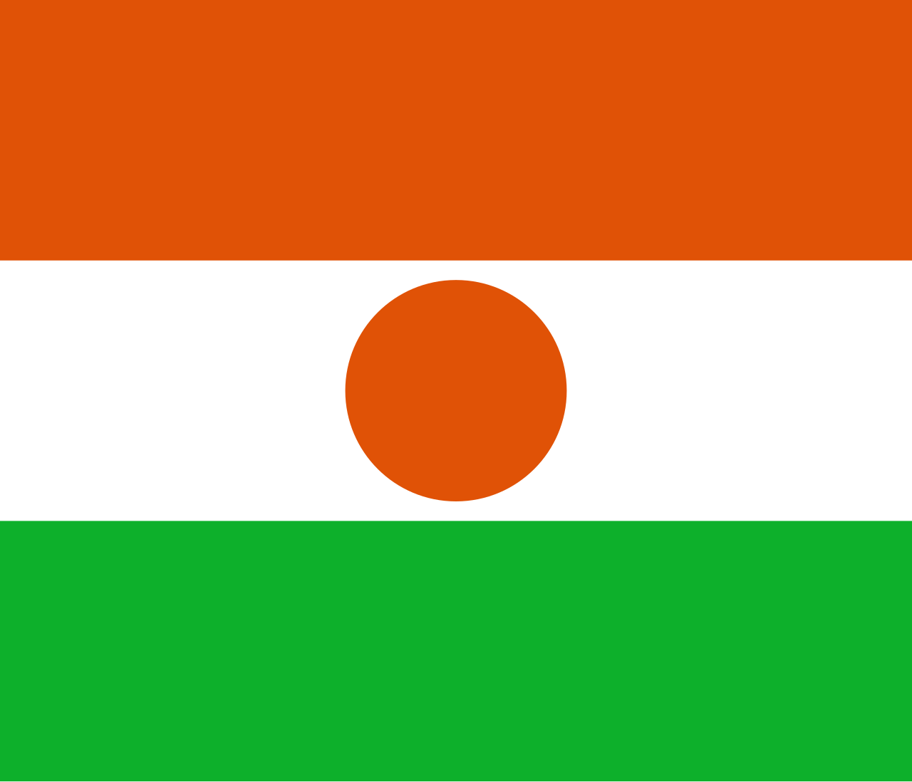 Mahamadou Nazirou Nafiou Mahamane nationality flag